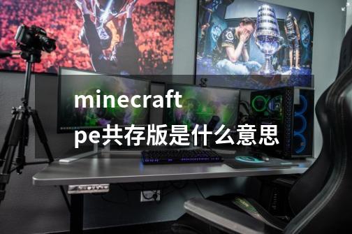 minecraft pe共存版是什么意思-第1张-游戏信息-龙启网