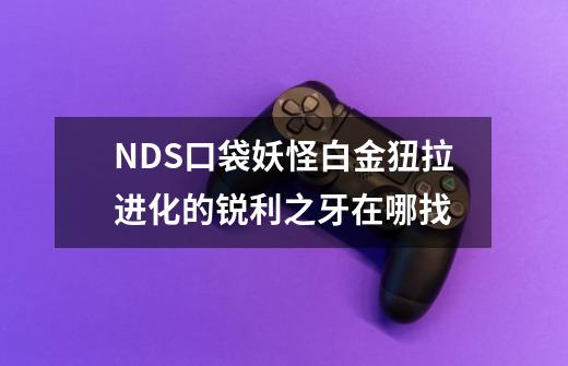 NDS口袋妖怪白金狃拉进化的锐利之牙在哪找-第1张-游戏信息-龙启网