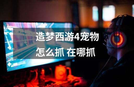 造梦西游4宠物怎么抓 在哪抓-第1张-游戏信息-龙启网