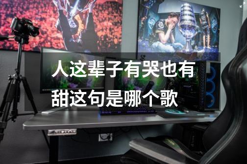人这辈子有哭也有甜这句是哪个歌-第1张-游戏信息-龙启网