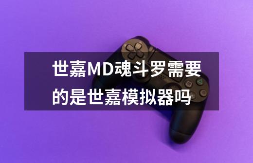 世嘉MD魂斗罗需要的是世嘉模拟器吗-第1张-游戏信息-龙启网