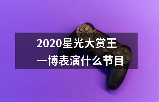 2020星光大赏王一博表演什么节目-第1张-游戏信息-龙启网