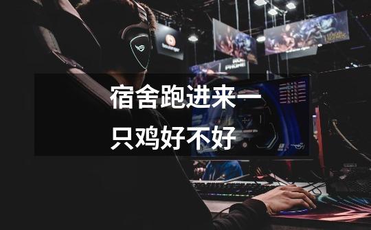 宿舍跑进来一只鸡好不好-第1张-游戏信息-龙启网