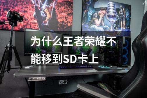 为什么王者荣耀不能移到SD卡上-第1张-游戏信息-龙启网