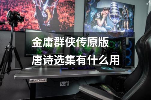 金庸群侠传原版 唐诗选集有什么用-第1张-游戏信息-龙启网