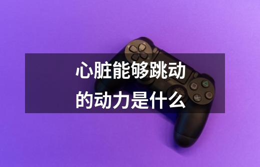 心脏能够跳动的动力是什么-第1张-游戏信息-龙启网
