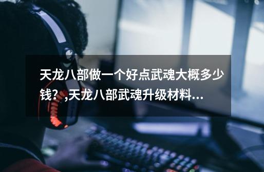 天龙八部做一个好点武魂大概多少钱?,天龙八部武魂升级材料表-第1张-游戏信息-龙启网