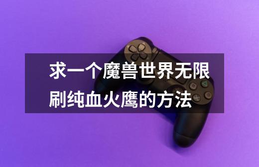 求一个魔兽世界无限刷纯血火鹰的方法-第1张-游戏信息-龙启网