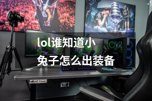 lol谁知道小兔子怎么出装备-第1张-游戏信息-龙启网