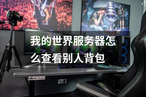 我的世界服务器怎么查看别人背包-第1张-游戏信息-龙启网