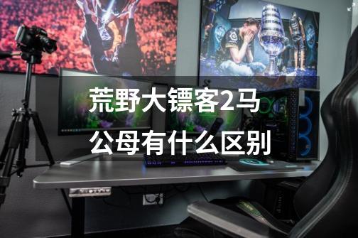 荒野大镖客2马公母有什么区别-第1张-游戏信息-龙启网