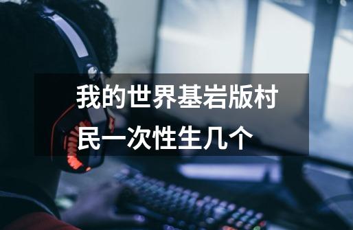 我的世界基岩版村民一次性生几个-第1张-游戏信息-龙启网