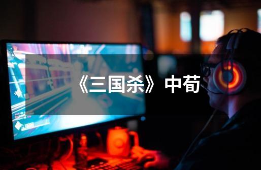 《三国杀》中荀-第1张-游戏信息-龙启网