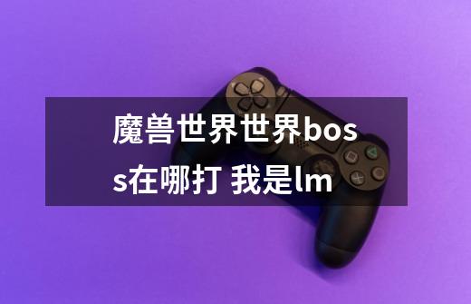 魔兽世界世界boss在哪打 我是lm-第1张-游戏信息-龙启网