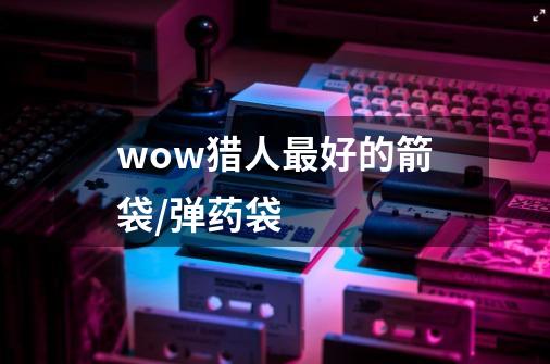 wow猎人最好的箭袋/弹药袋-第1张-游戏信息-龙启网