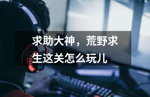 求助大神，荒野求生这关怎么玩儿-第1张-游戏信息-龙启网