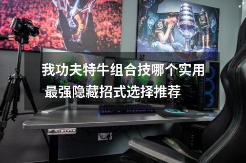 我功夫特牛组合技哪个实用 最强隐藏招式选择推荐-第1张-游戏信息-龙启网