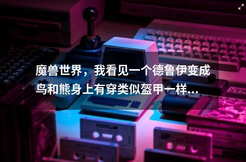 魔兽世界，我看见一个德鲁伊变成鸟和熊身上有穿类似盔甲一样的东西-第1张-游戏信息-龙启网