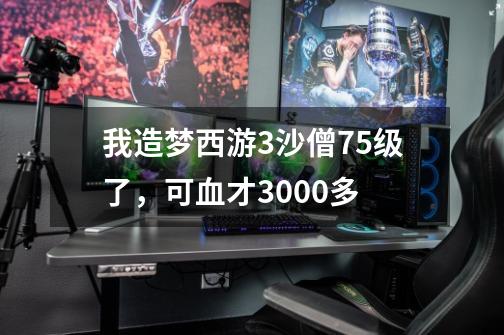 我造梦西游3沙僧75级了，可血才3000多-第1张-游戏信息-龙启网
