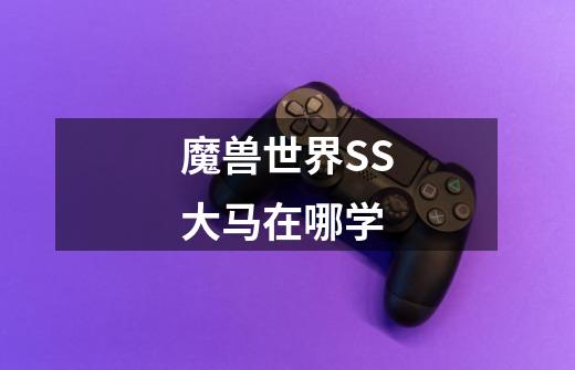 魔兽世界SS大马在哪学-第1张-游戏信息-龙启网