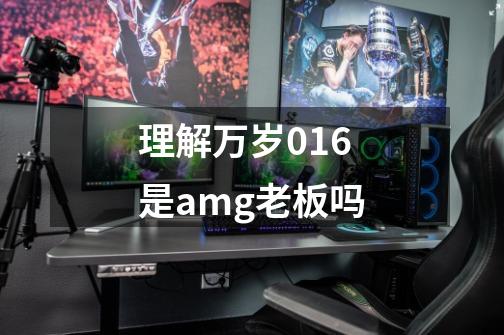 理解万岁016是amg老板吗-第1张-游戏信息-龙启网