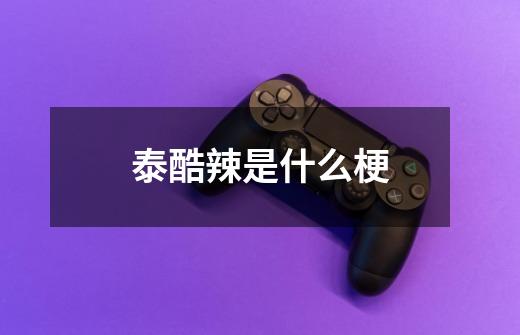 泰酷辣是什么梗-第1张-游戏信息-龙启网