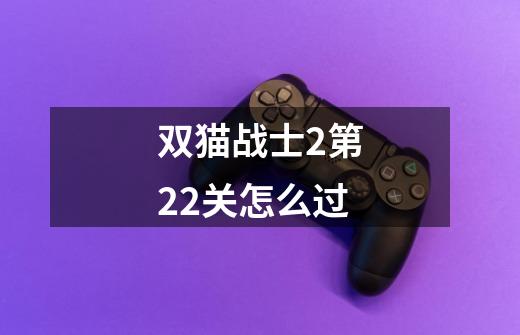 双猫战士2第22关怎么过-第1张-游戏信息-龙启网