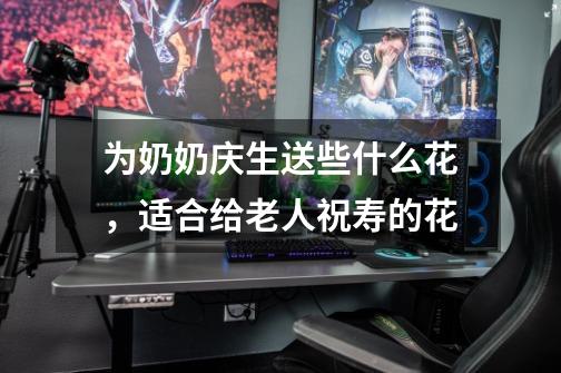 为奶奶庆生送些什么花,适合给老人祝寿的花-第1张-游戏信息-龙启网