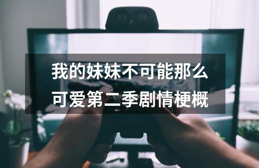 我的妹妹不可能那么可爱第二季剧情梗概-第1张-游戏信息-龙启网
