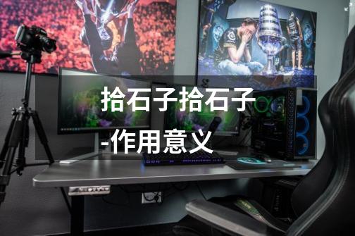 拾石子拾石子-作用意义-第1张-游戏信息-龙启网