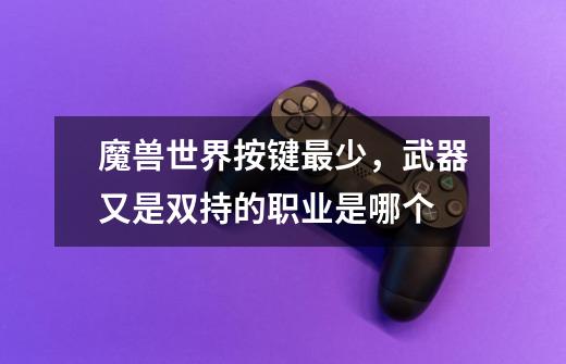 魔兽世界按键最少，武器又是双持的职业是哪个-第1张-游戏信息-龙启网