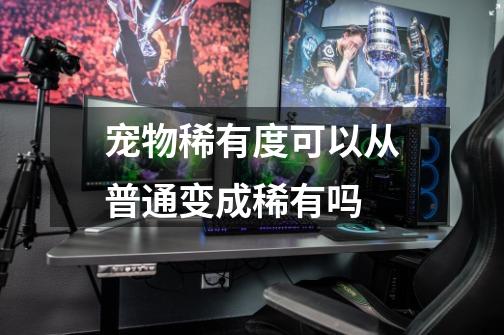 宠物稀有度可以从普通变成稀有吗-第1张-游戏信息-龙启网
