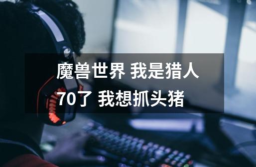 魔兽世界 我是猎人70了 我想抓头猪-第1张-游戏信息-龙启网