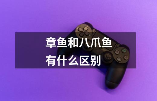 章鱼和八爪鱼有什么区别-第1张-游戏信息-龙启网