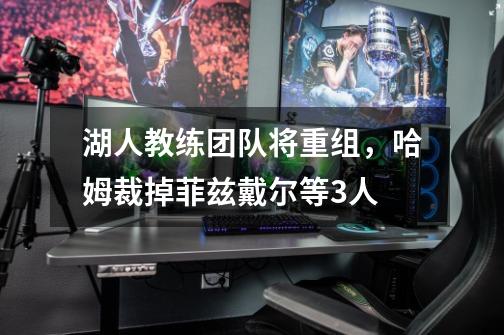 湖人教练团队将重组,哈姆裁掉菲兹戴尔等3人-第1张-游戏信息-龙启网