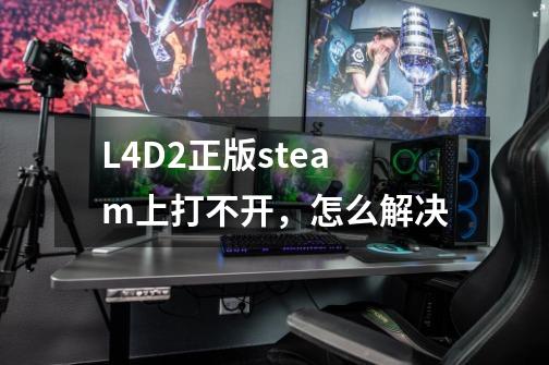 L4D2正版steam上打不开，怎么解决-第1张-游戏信息-龙启网