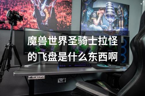 魔兽世界圣骑士拉怪的飞盘是什么东西啊-第1张-游戏信息-龙启网