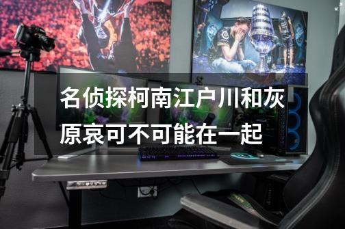名侦探柯南江户川和灰原哀可不可能在一起-第1张-游戏信息-龙启网