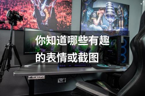 你知道哪些有趣的表情或截图-第1张-游戏信息-龙启网