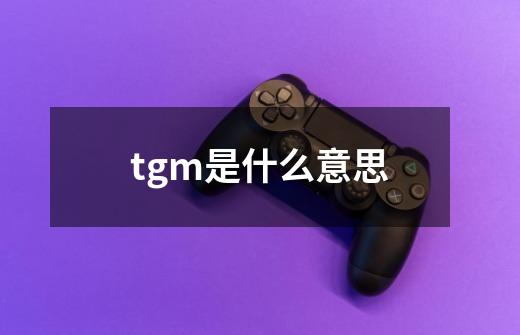 tgm是什么意思-第1张-游戏信息-龙启网