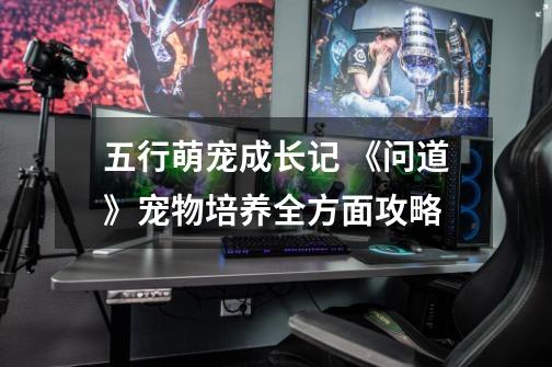 五行萌宠成长记 《问道》宠物培养全方面攻略-第1张-游戏信息-龙启网