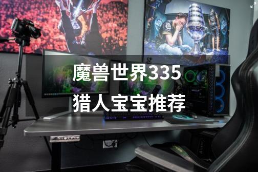 魔兽世界3.35猎人宝宝推荐-第1张-游戏信息-龙启网