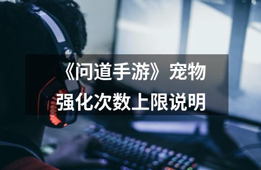 《问道手游》宠物强化次数上限说明-第1张-游戏信息-龙启网