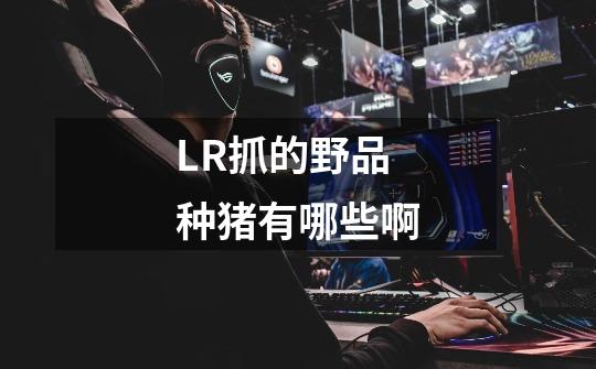 LR抓的野品种猪有哪些啊-第1张-游戏信息-龙启网