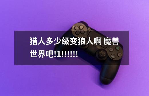 猎人多少级变狼人啊 魔兽世界吧!1!!!!!!-第1张-游戏信息-龙启网