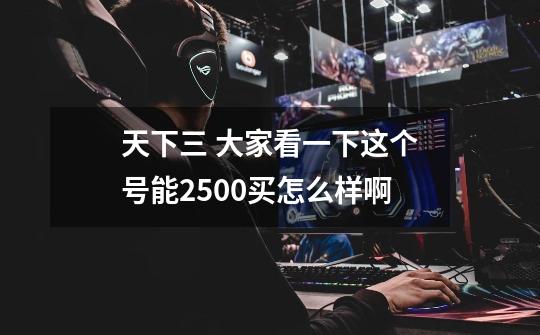 天下三 大家看一下这个号能2500买怎么样啊-第1张-游戏信息-龙启网