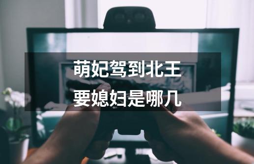 萌妃驾到北王要媳妇是哪几-第1张-游戏信息-龙启网