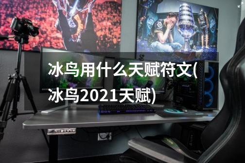 冰鸟用什么天赋符文(冰鸟2021天赋)-第1张-游戏信息-龙启网