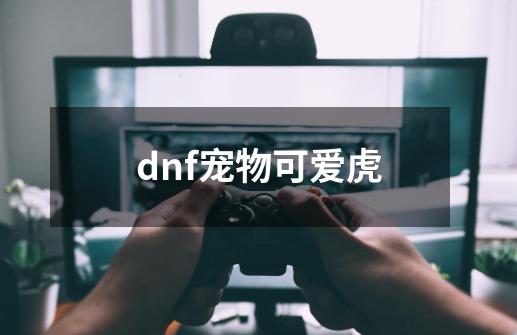 dnf宠物可爱虎-第1张-游戏信息-龙启网