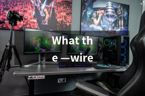 What the —wire-第1张-游戏信息-龙启网